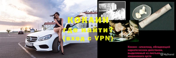 крисы Дмитриев