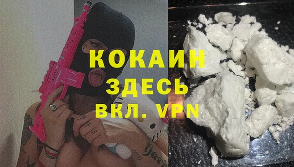 крисы Дмитриев