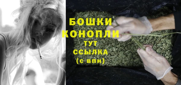 крисы Дмитриев