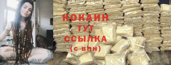 крисы Дмитриев