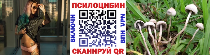Купить Кремёнки Галлюциногенные грибы прущие грибы
